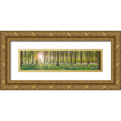 Sun rays through trees Gold Ornate Wood Framed Art Print with Double Matting by Frank, Assaf