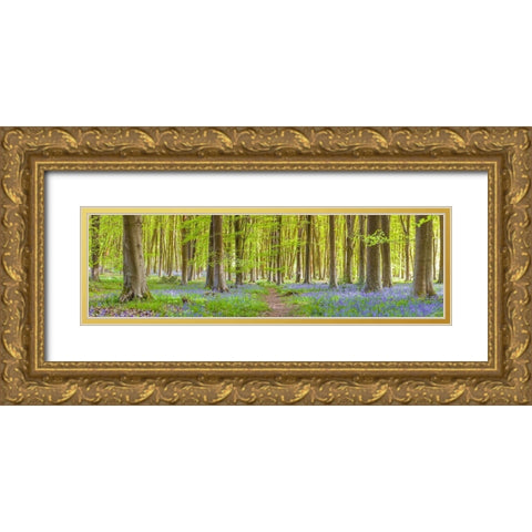 Pathway through forest Gold Ornate Wood Framed Art Print with Double Matting by Frank, Assaf