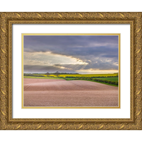 Farm fields in Hampshire during spring Gold Ornate Wood Framed Art Print with Double Matting by Frank, Assaf