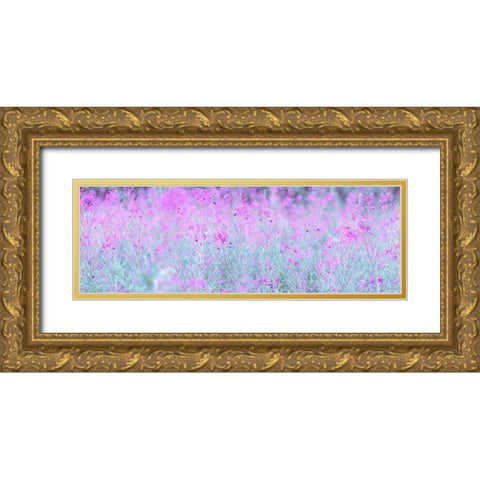 Chamaenerion flowers Gold Ornate Wood Framed Art Print with Double Matting by Frank, Assaf