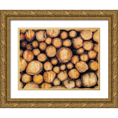 Wood logs Gold Ornate Wood Framed Art Print with Double Matting by Frank, Assaf