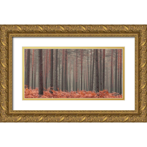 Misty Forest Gold Ornate Wood Framed Art Print with Double Matting by Frank, Assaf