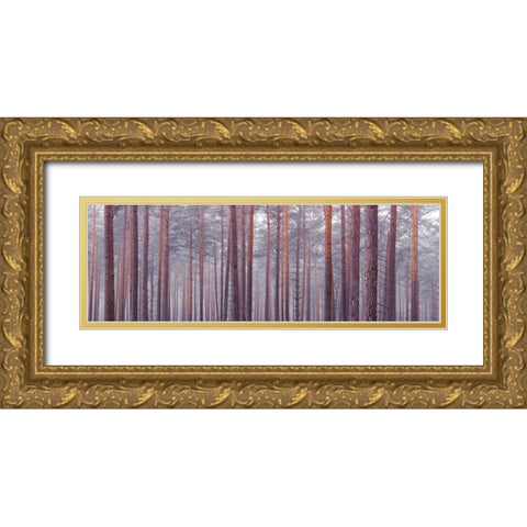 Tree trunks Gold Ornate Wood Framed Art Print with Double Matting by Frank, Assaf