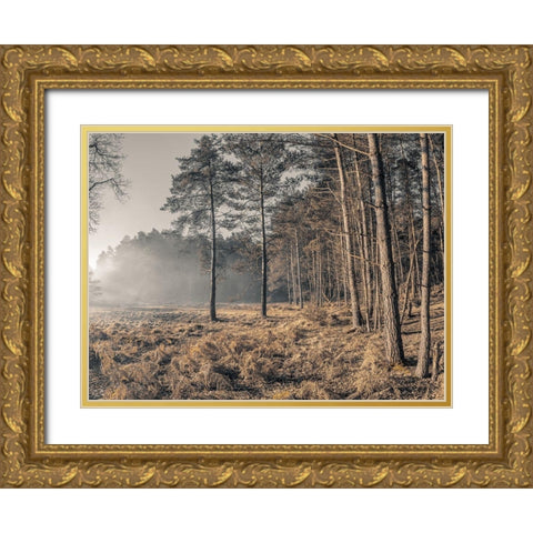 Misty forest Gold Ornate Wood Framed Art Print with Double Matting by Frank, Assaf