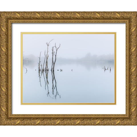 Branches in lake, reflection Gold Ornate Wood Framed Art Print with Double Matting by Frank, Assaf