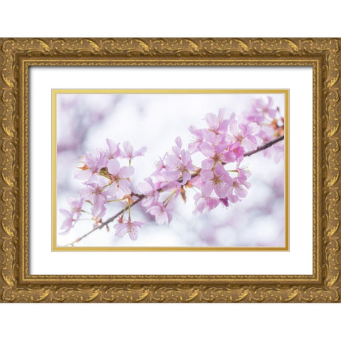 Blossoms Gold Ornate Wood Framed Art Print with Double Matting by Frank, Assaf