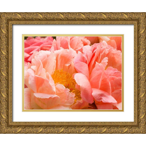 Chelsea flowers Gold Ornate Wood Framed Art Print with Double Matting by Frank, Assaf