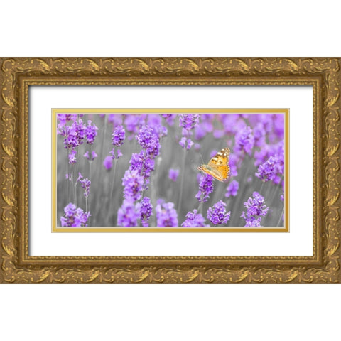 Butterfly Lavender flowers Gold Ornate Wood Framed Art Print with Double Matting by Frank, Assaf