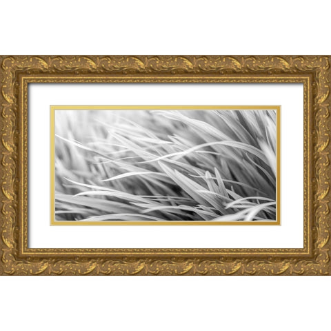 Flowing Grass Gold Ornate Wood Framed Art Print with Double Matting by Frank, Assaf