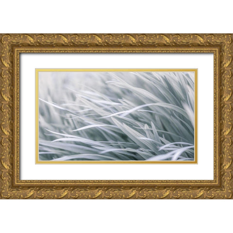 Leaves-abstract Gold Ornate Wood Framed Art Print with Double Matting by Frank, Assaf