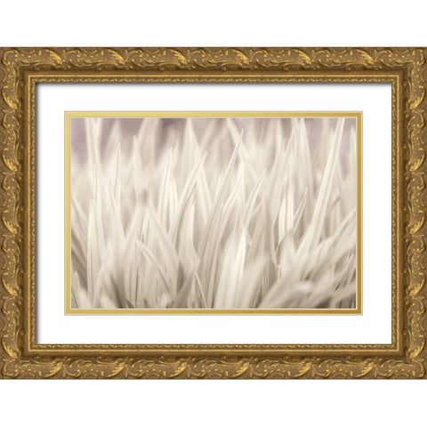 Grass Gold Ornate Wood Framed Art Print with Double Matting by Frank, Assaf