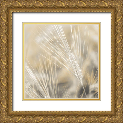 Wheat close-up Gold Ornate Wood Framed Art Print with Double Matting by Frank, Assaf