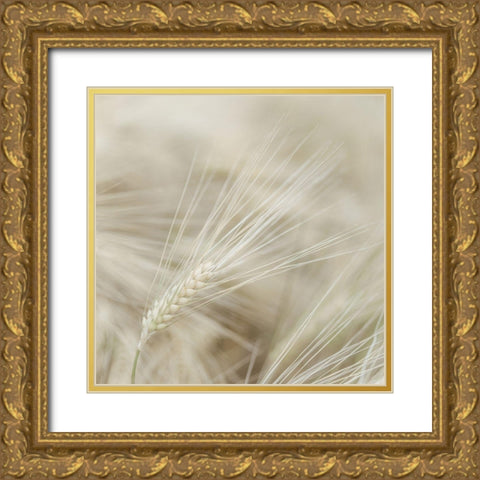 Wheat close-up Gold Ornate Wood Framed Art Print with Double Matting by Frank, Assaf