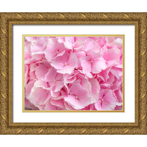 Hydrangea flower bouquet Gold Ornate Wood Framed Art Print with Double Matting by Frank, Assaf
