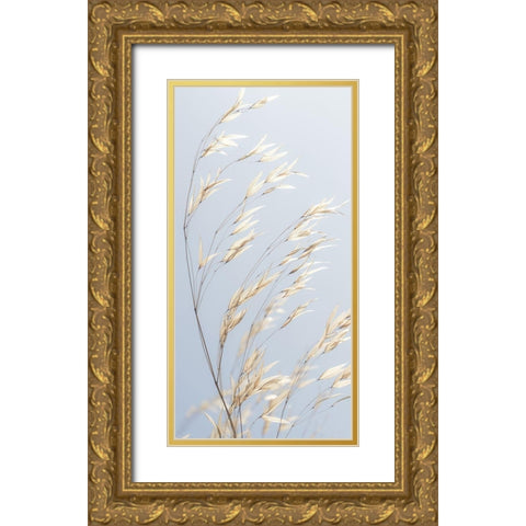 Panicle ripe Oats Gold Ornate Wood Framed Art Print with Double Matting by Frank, Assaf