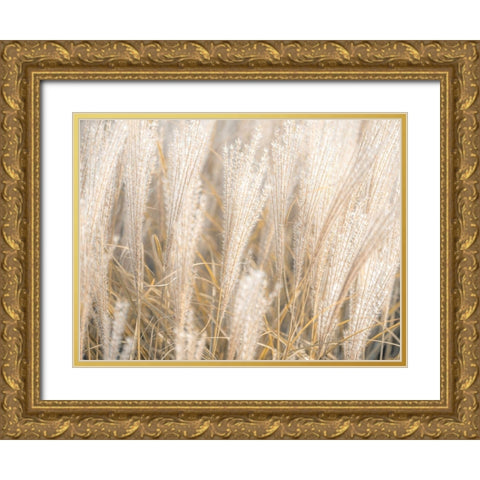 Japanese Silver Grass Gold Ornate Wood Framed Art Print with Double Matting by Frank, Assaf