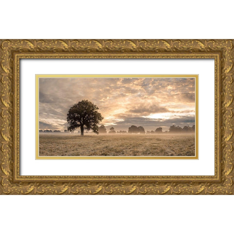 Tree in a filed at sunrise Gold Ornate Wood Framed Art Print with Double Matting by Frank, Assaf