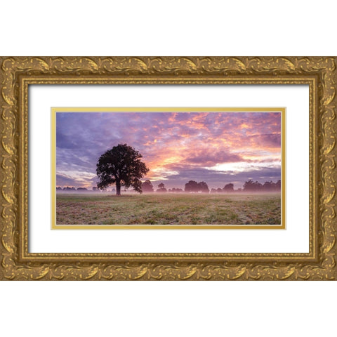 Tree in a filed at sunrise Gold Ornate Wood Framed Art Print with Double Matting by Frank, Assaf