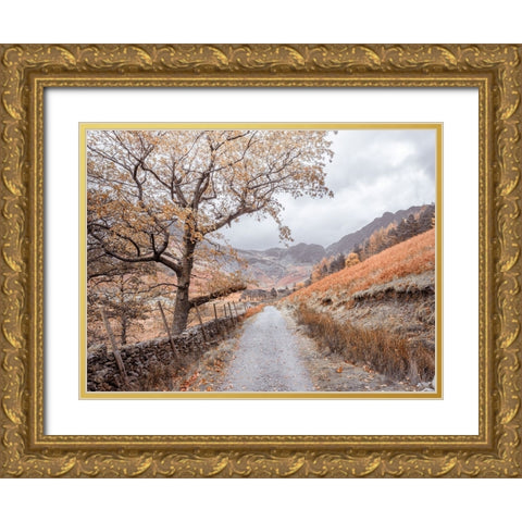 Countryside dirt road Gold Ornate Wood Framed Art Print with Double Matting by Frank, Assaf