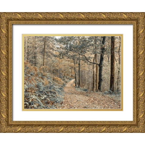Forest path-Lake District Gold Ornate Wood Framed Art Print with Double Matting by Frank, Assaf