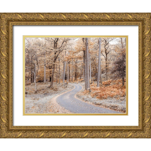 Forest path-Lake District Gold Ornate Wood Framed Art Print with Double Matting by Frank, Assaf