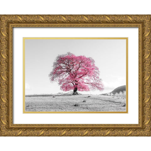 Tree on a hill Gold Ornate Wood Framed Art Print with Double Matting by Frank, Assaf