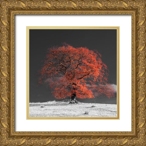 Tree on a hill-orange Gold Ornate Wood Framed Art Print with Double Matting by Frank, Assaf