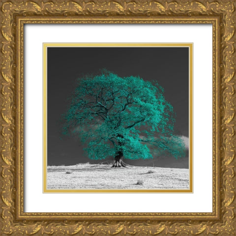 Tree on a hill-teal Gold Ornate Wood Framed Art Print with Double Matting by Frank, Assaf