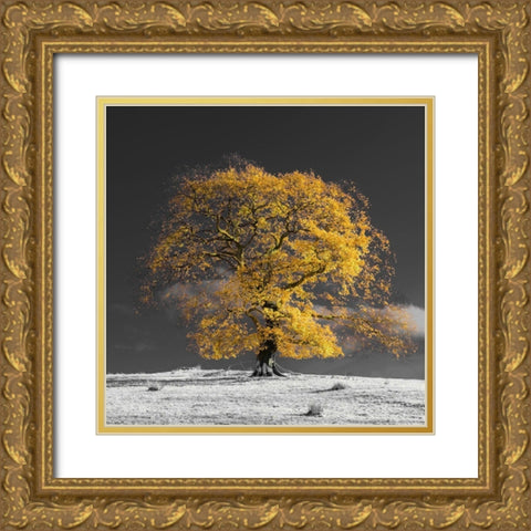 Tree on a hill-yellow-gold Gold Ornate Wood Framed Art Print with Double Matting by Frank, Assaf