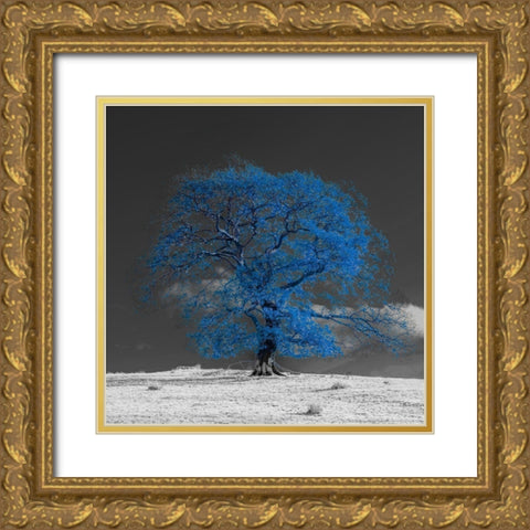 Tree on a hill-blue Gold Ornate Wood Framed Art Print with Double Matting by Frank, Assaf