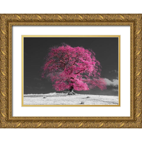 Tree on a hill-pink Gold Ornate Wood Framed Art Print with Double Matting by Frank, Assaf