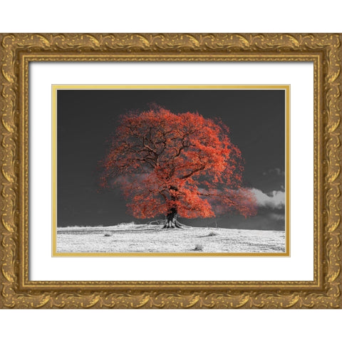 Tree on a hill-orange Gold Ornate Wood Framed Art Print with Double Matting by Frank, Assaf