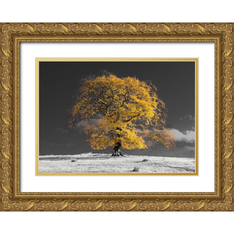 Tree on a hill-yellow-gold Gold Ornate Wood Framed Art Print with Double Matting by Frank, Assaf