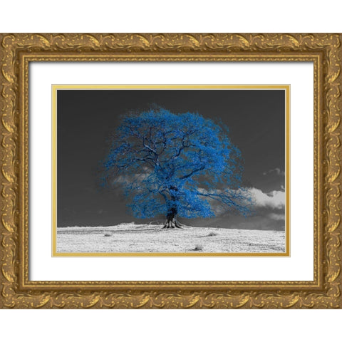 Tree on a hill-blue Gold Ornate Wood Framed Art Print with Double Matting by Frank, Assaf