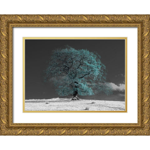 Tree on a hill-teal Gold Ornate Wood Framed Art Print with Double Matting by Frank, Assaf