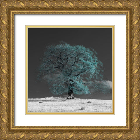 Tree on a hill-teal Gold Ornate Wood Framed Art Print with Double Matting by Frank, Assaf