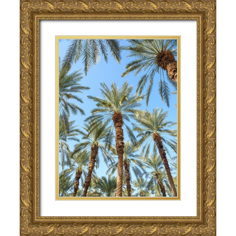Palm Trees Gold Ornate Wood Framed Art Print with Double Matting by Frank, Assaf