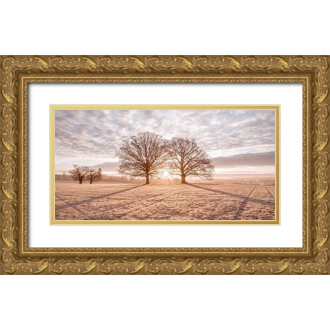 Trees in meadow Gold Ornate Wood Framed Art Print with Double Matting by Frank, Assaf