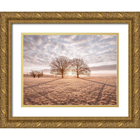 Trees in meadow Gold Ornate Wood Framed Art Print with Double Matting by Frank, Assaf