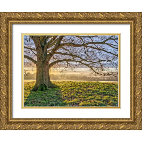 Tree in a meadow Gold Ornate Wood Framed Art Print with Double Matting by Frank, Assaf