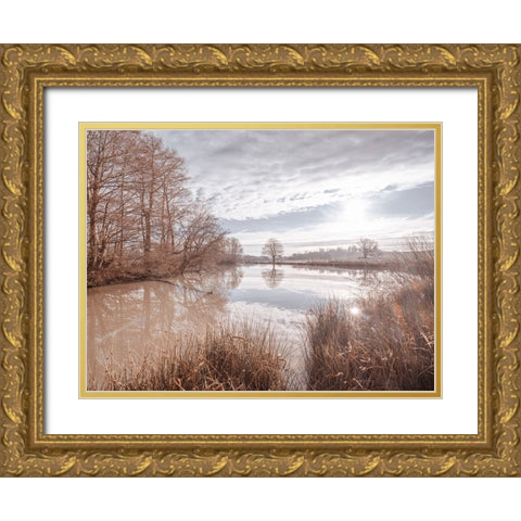 Pond reflection Gold Ornate Wood Framed Art Print with Double Matting by Frank, Assaf