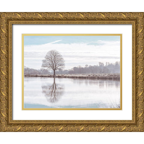 Reflection of a tree Gold Ornate Wood Framed Art Print with Double Matting by Frank, Assaf