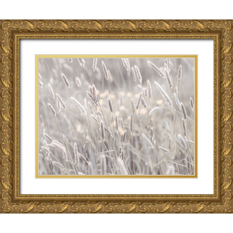Summer meadow Gold Ornate Wood Framed Art Print with Double Matting by Frank, Assaf