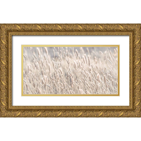 Grass in meadow Gold Ornate Wood Framed Art Print with Double Matting by Frank, Assaf