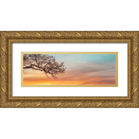 Branches at sunset Gold Ornate Wood Framed Art Print with Double Matting by Frank, Assaf