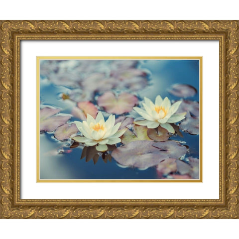 Lotus in pond Gold Ornate Wood Framed Art Print with Double Matting by Frank, Assaf