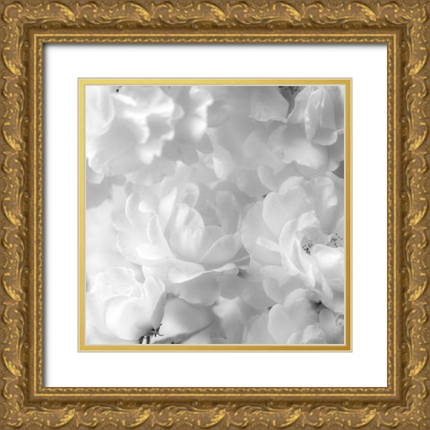 Roses Gold Ornate Wood Framed Art Print with Double Matting by Frank, Assaf