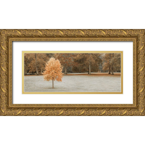 Tree in autumn park Gold Ornate Wood Framed Art Print with Double Matting by Frank, Assaf