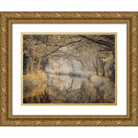 Canal through forest Gold Ornate Wood Framed Art Print with Double Matting by Frank, Assaf