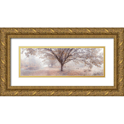Canal through forest Gold Ornate Wood Framed Art Print with Double Matting by Frank, Assaf